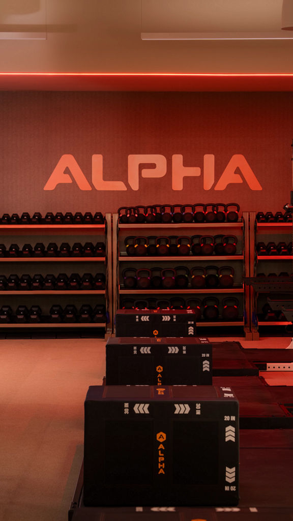 alpha studio with weight machines and dumbbells