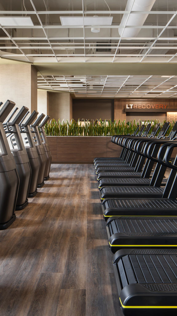 Cardio equipment on the fitness floor at Life Time