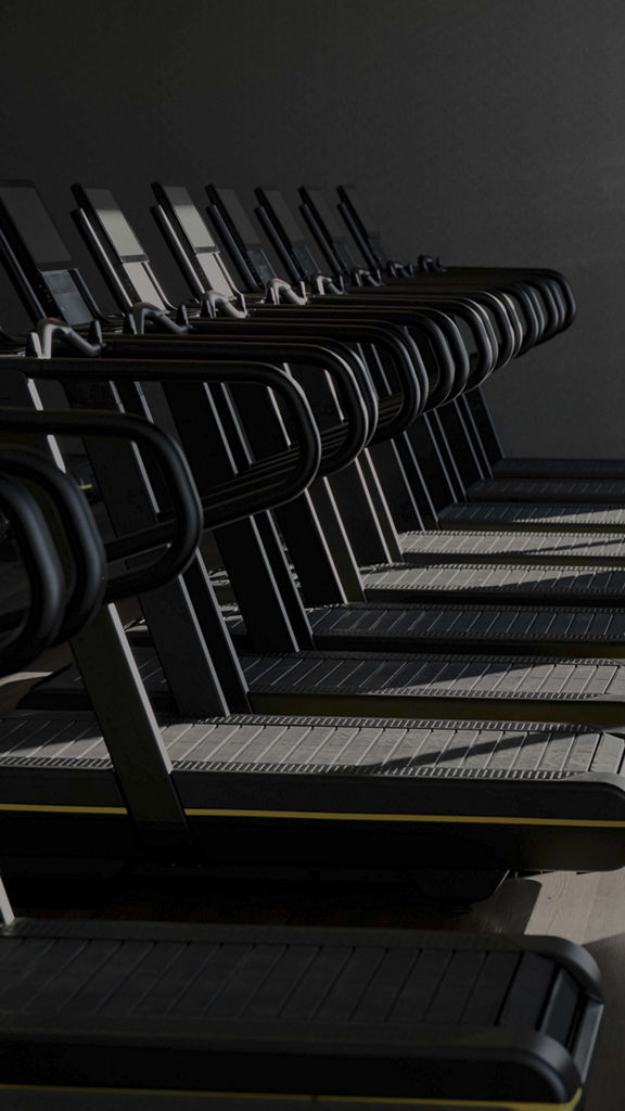 treadmills on fitness floor