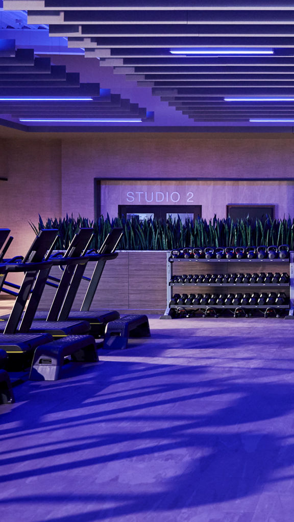 GTX studio room