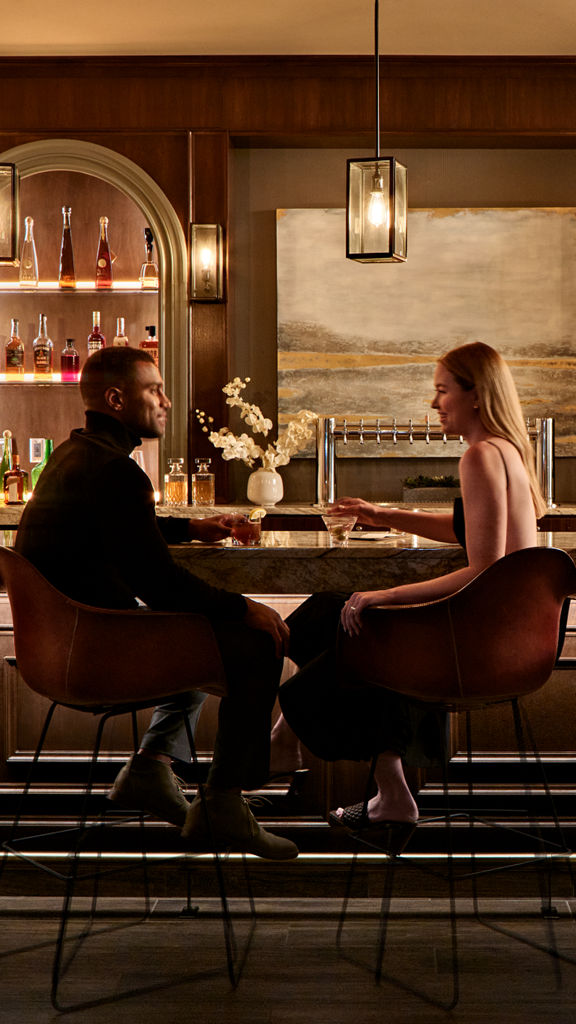 A couple sitting at the bar in deep conversation while drinking alcohol beverages