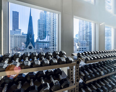 Racks of dumbbells under a window showing skyscrapers