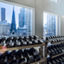 Racks of dumbbells under a window showing skyscrapers