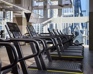 A row of treadmills in a brightly lit workout area