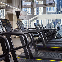 A row of treadmills in a brightly lit workout area