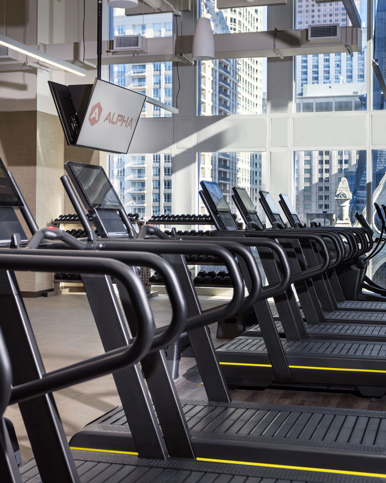 treadmills in a brightly lit workout area