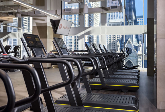 treadmills in a brightly lit workout area