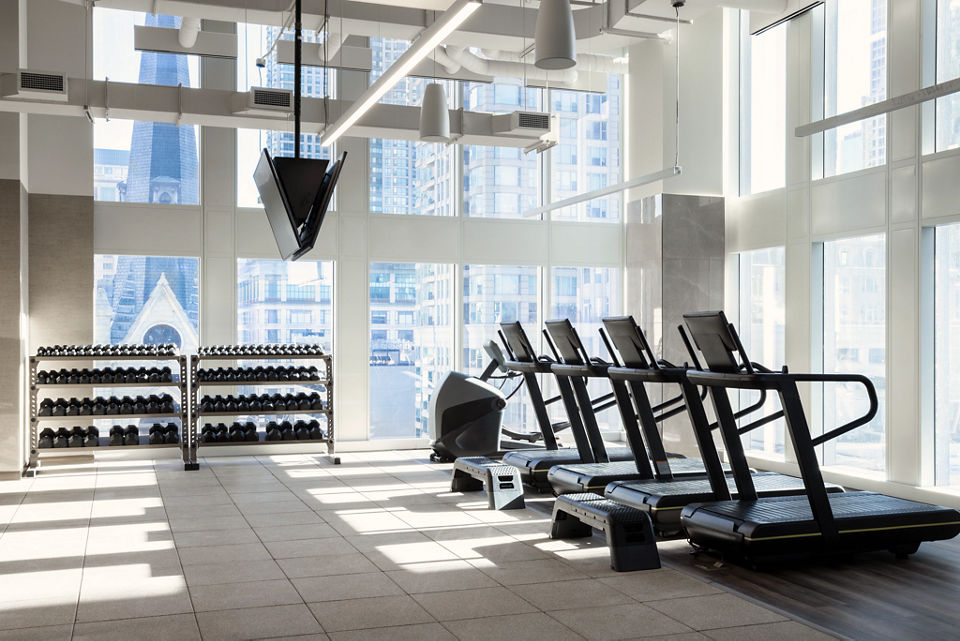 treadmills and racks of dumbbells in a room with large windows