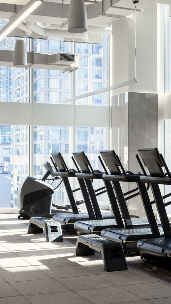 treadmills and racks of dumbbells in a room with large windows