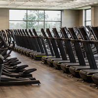 Row of treadmills on the fitness floor at Life Time