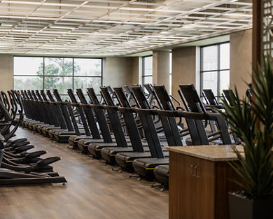 Row of treadmills on the fitness floor at Life Time