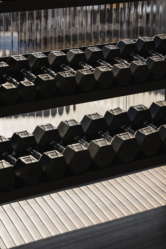 Close-up of a rack filled with dumbbells