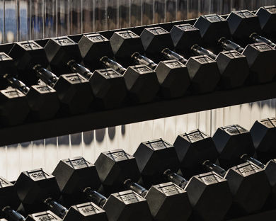 Close-up of a rack filled with dumbbells