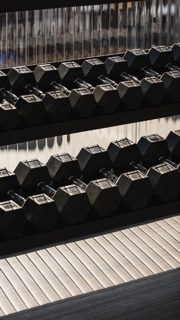 Close-up of a rack filled with dumbbells