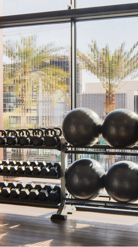 A fitness floor rack filled with kettlebells, weighted balls, and dumbells