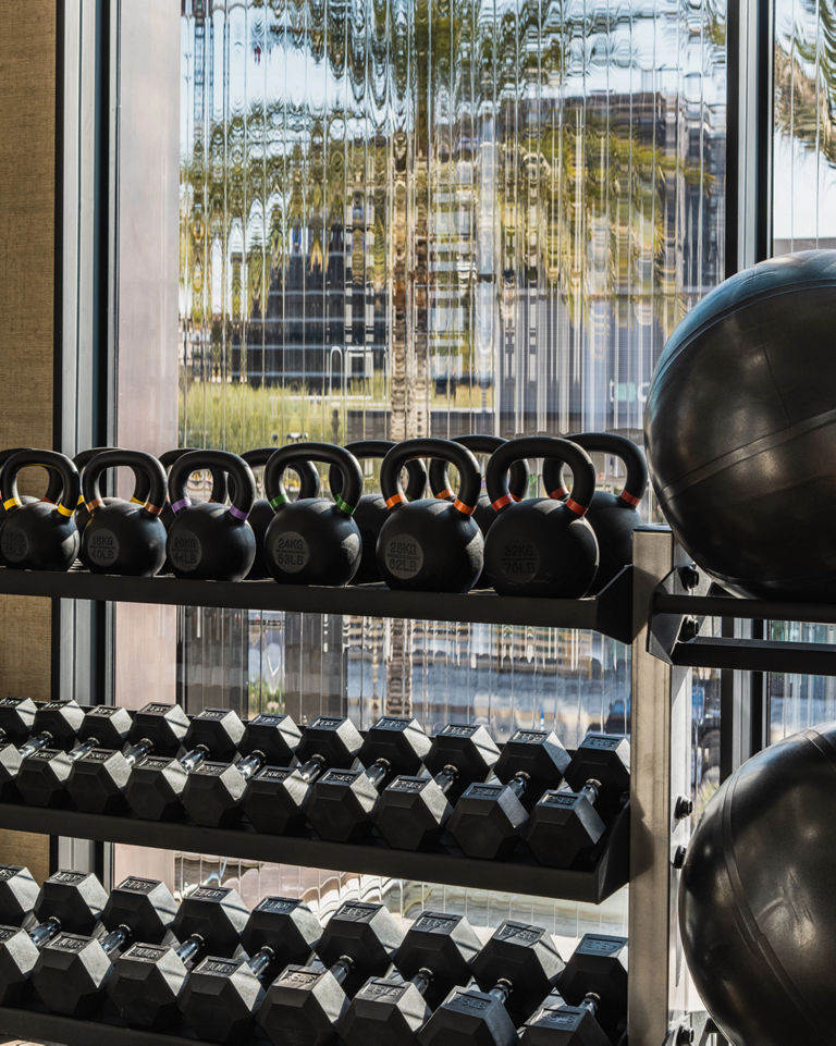 A rack filled with kettlebells and dumbbells in front of a window