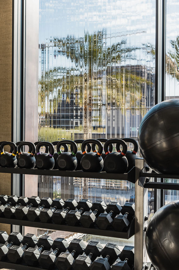 A rack filled with kettlebells and dumbbells in front of a window