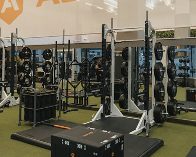 Alpha strength equipment on the fitness floor at Life Time