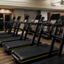 Treadmills on a fitness floor at a Life Time location