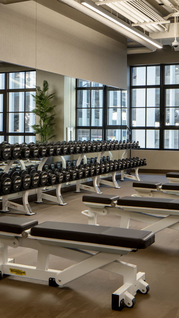 Weight benches and dumbbells on the fitness floor at the Life Time Stamford club location