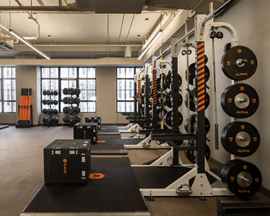 An Alpha training area with rows of squat racks and medicine balls by large windows