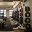 An Alpha training area with rows of squat racks and medicine balls by large windows