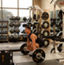 A member lifting in squat position lifting a barbell during an Alpha class