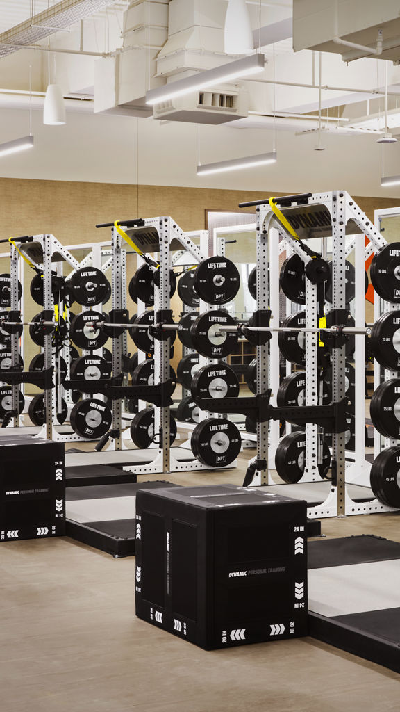 Weight racks on the fitness floor