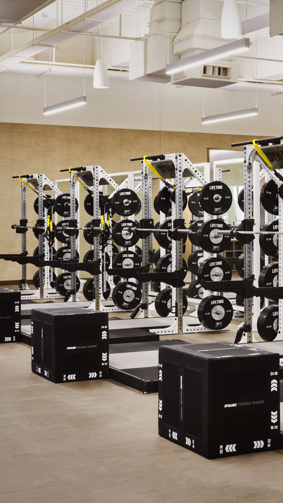 Weight racks on the fitness floor