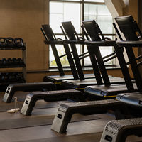 Line of treadmills in the small group training area on the fitness floor
