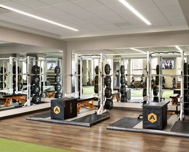 An Alpha training area with squat racks and plyometric boxes