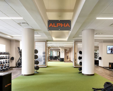 Alpha training area
