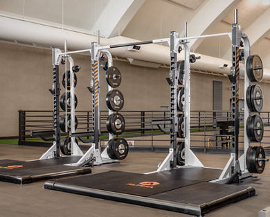 2 Alpha squat racks