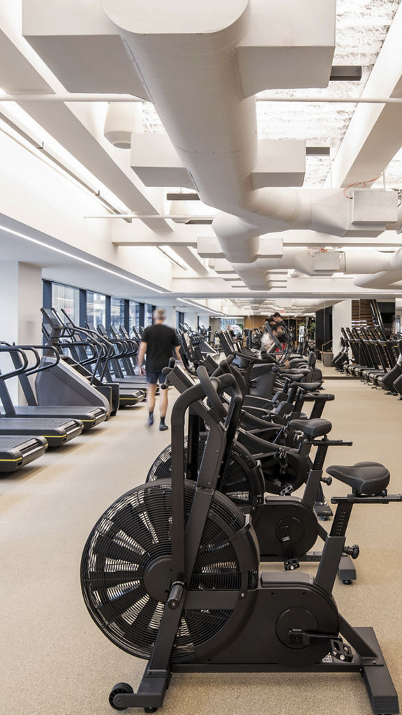 Cardio equipment on the fitness floor at Life Time