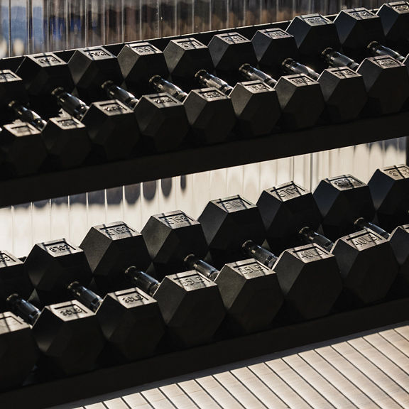 Close-up of a rack filled with dumbbells